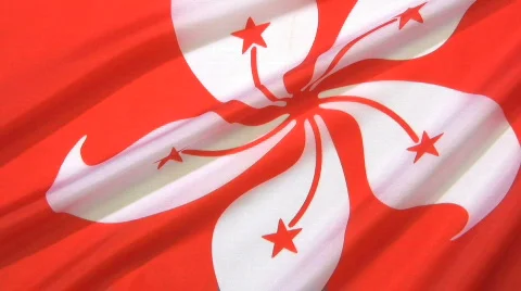 Hong Kong Flag 動画素材 361480