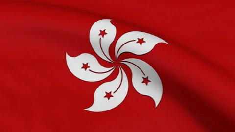 Hong Kong Flag Stock Footage 241219312