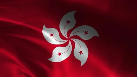 Hong Kong Flag Stock Footage 336964838