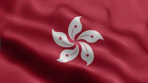 Hong Kong flag Front Stock Footage 318665749