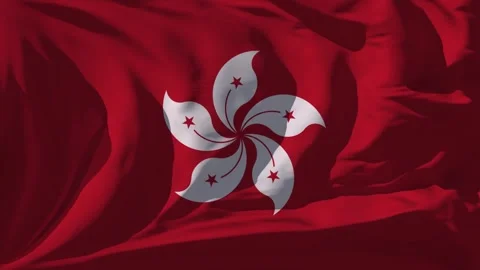 Hong Kong Flag Loop Video stock 295748159