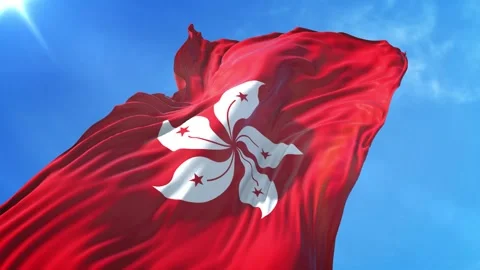 Hong Kong Flag Low Angle View Video stock 295691689