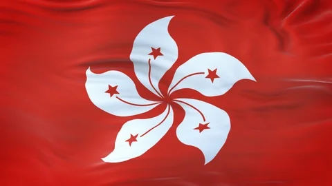 Hong Kong flag waving in the wind with detailed texture Stock Footage