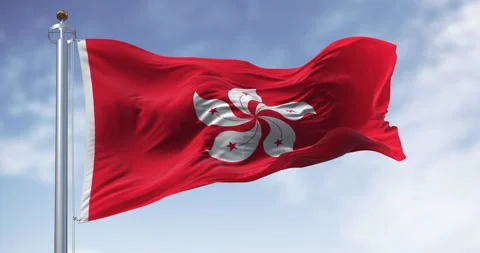 Hong Kong flag waving in the wind on a clear day Stock Footage 317100612
