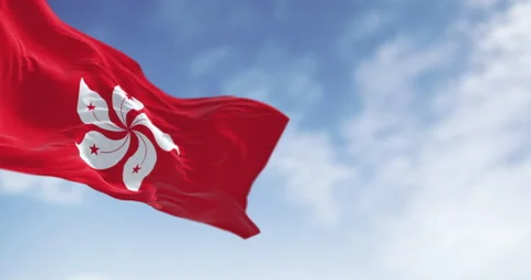 Hong Kong flag waving in the wind on a clear day Stock Footage 333767294