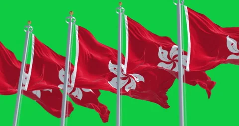 Hong Kong flags waving in the wind isolated on green background Stock-Footage 332362152