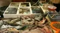 Hong Kong Market Street, Meat, Fruits, Clothes, Fish, Vegetables, Chinese HD Footage