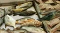 Hong Kong Market Street, Meat, Fruits, Clothes, Fish, Vegetables, Chinese HD Footage
