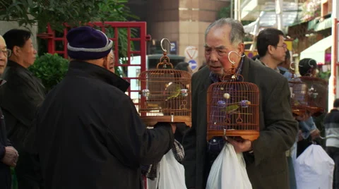 Hong Kong: Men chatting about newly purchased caged birds Stock Footage 59532201