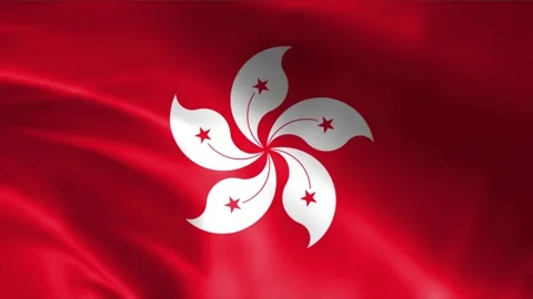 Hongkong Flag Stock Footage 262499888