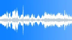 Honking And Cheering - LoopSound Effect