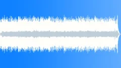 Honky Tonkin -County SwingStock Music