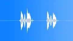 Honkytonk Female VoiceSound Effect