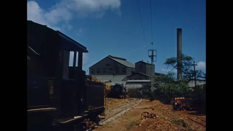 HONOLULU - 1942 - Rear view of flat cars traveling down a railway loaded with Stock Footage 337709814