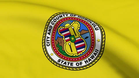 Honolulu City Flag Loop Video stock 241167997