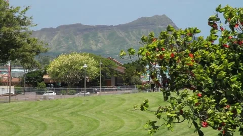 Honolulu Hawaii Video stock 44923791