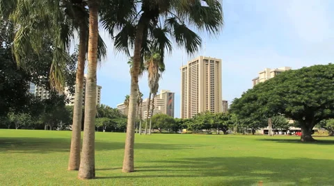 Honolulu park with palm trees Stock Footage 2451349