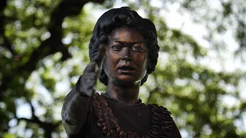 Honolulu statue 106 Stock Footage 155495213