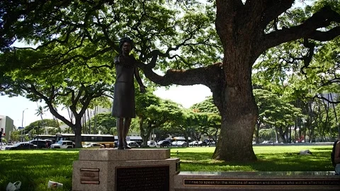 Honolulu statue 107 Video stock 155495220