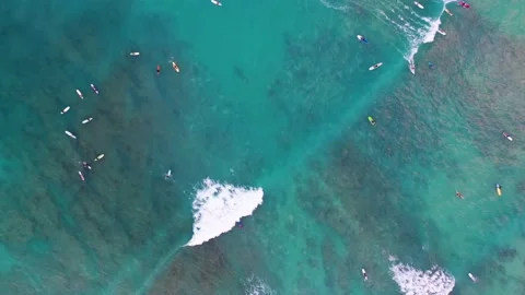Honolulu Surfers 動画素材 168859060