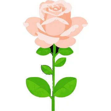 Honor Flower Red Bloom Responsibility Love Illustrazione stock