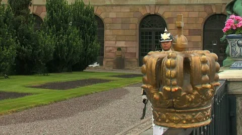 Honor guard Stock-Footage 8927407