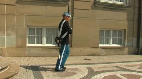 Honor guard Stock Footage 8946596