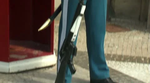 Honor guard Stock Footage 8946599