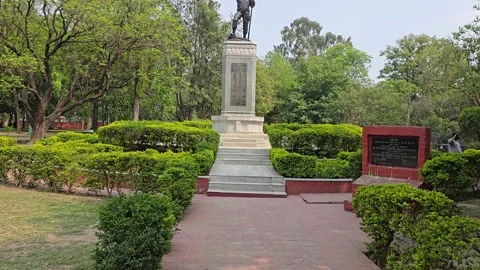 Honoring Courage: A View of the Freedom Fighter Stock Footage 313563286