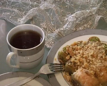 Honouring PAL Stock Footage 129698