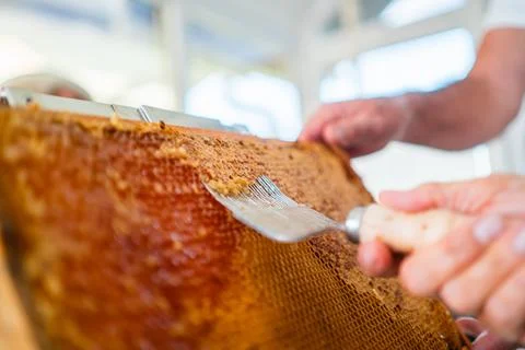 Honycomb Capping Scratcher Uncapping Beehive Frame From Beewax Close Up Stock Photos
