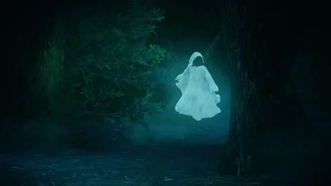 Hooded Ghost Attack In Haunted Forest, Animation Stock Footage 346752136