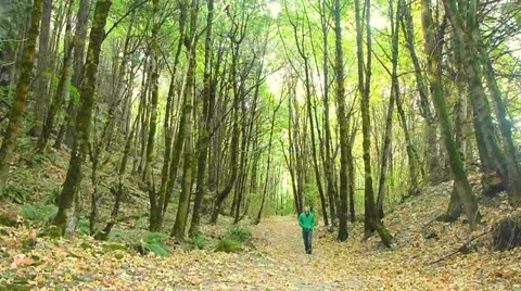 Hooded Man Walking in Forest Stock Footage 12144508