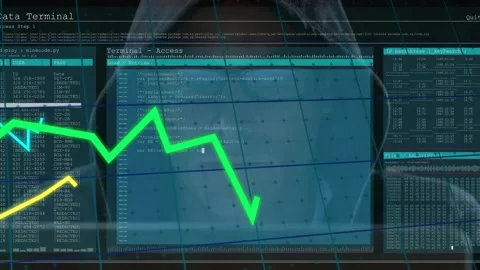 Hooded man watching screen, on command entry animating HUD graphs while Stock Footage 329751916