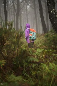 Hooded Woman Lost in the Lush Forest Among Ferns and Trees, in a misty mornin Stock Photos