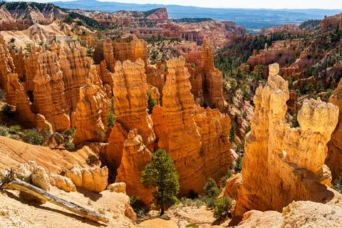 Hoodoos in Bryce Canyon Stock Photos