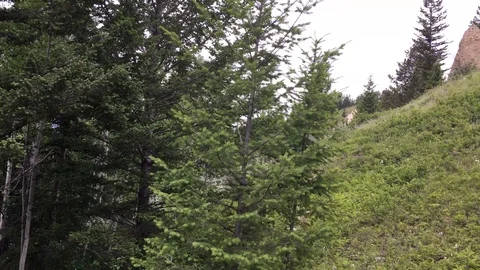 Hoodoos Stock Footage 123170224