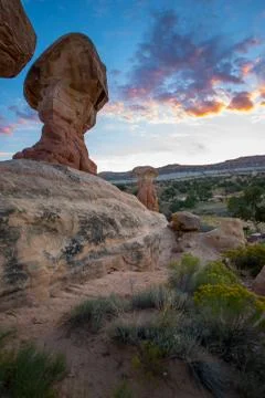 Hoodoos at Sunset Devils Garden Stock Photos