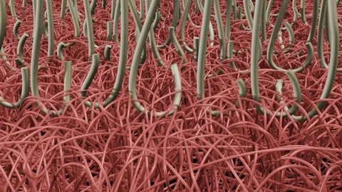 Hook and loop fasteners. Extreme closeup. 3d render animation Stock Footage 299686937