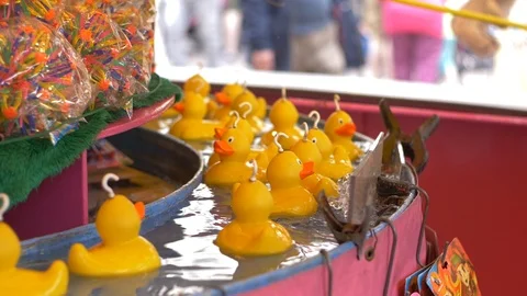 Hook ducks slow motion Stock Footage 94590756