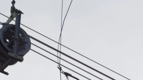 Hook is let down on a cable from electrical pole. Stock Footage 121913839