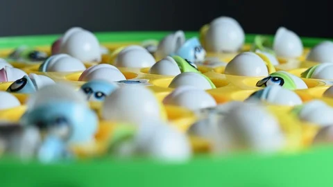 Hook line and sinker concept,  well-loved fishing game Vídeo Stock 121975638