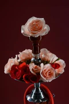 Hookah and rose Stock Photos