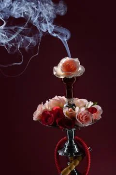 Hookah and rose Stock Photos