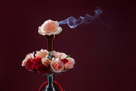 Hookah and rose Stock Photos