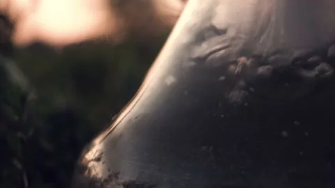 Hookah flask with smoke. air bubbles. close-up. Video stock 160756888