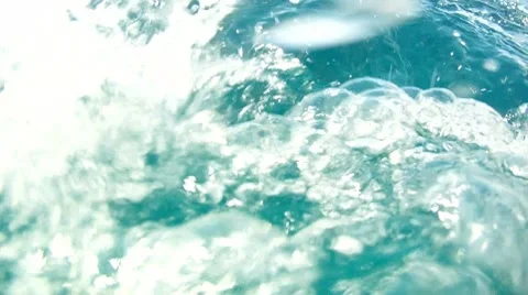 Hooked Amberine Stock Footage 7137227