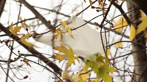 Hooked Bag Stock Footage 32869183