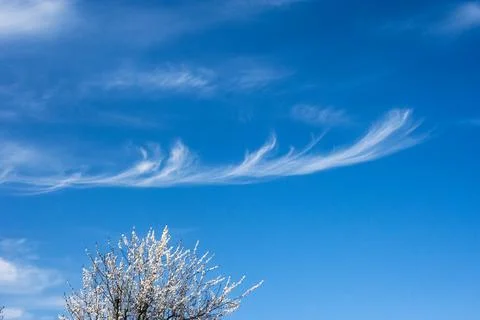 Hooked Cirrus Clouds Stock Photos