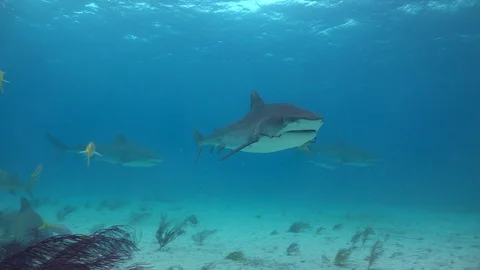 Hooked Stock Footage 94407403